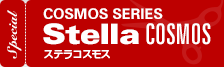 COSMOS SERIES Stella COSMOS ステラコスモス