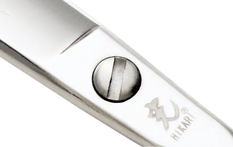 コインスクリュー