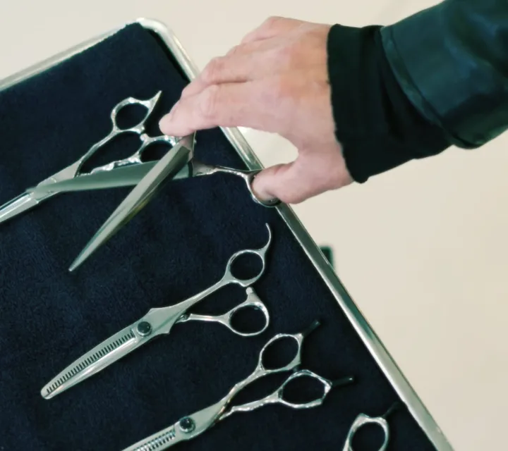 シザーズの選び方ガイド