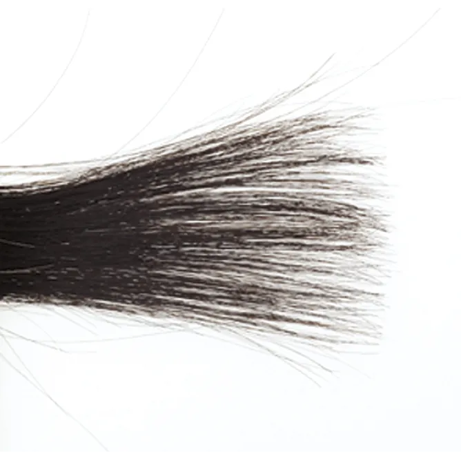 正刃…動刃が棒刃