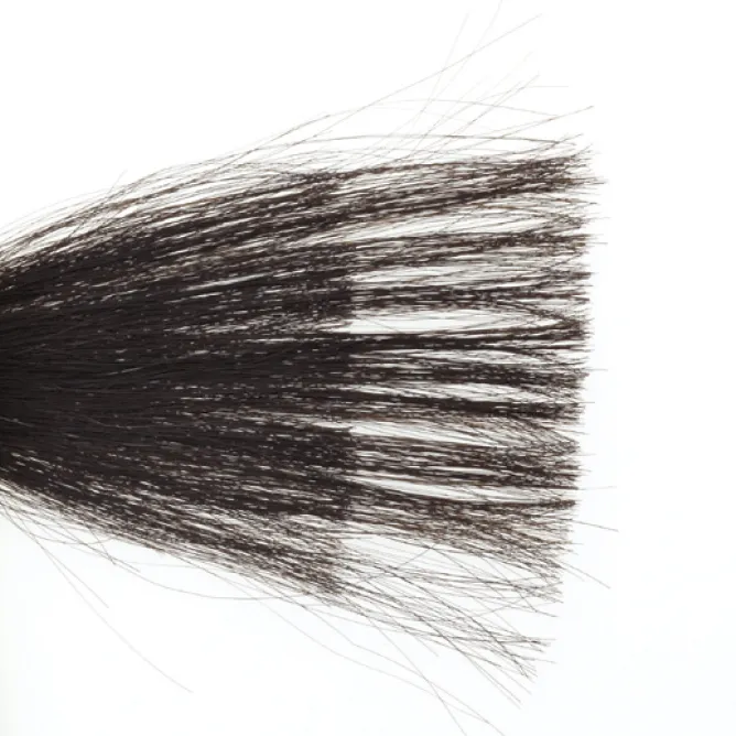 すかれる毛の量のイメージ